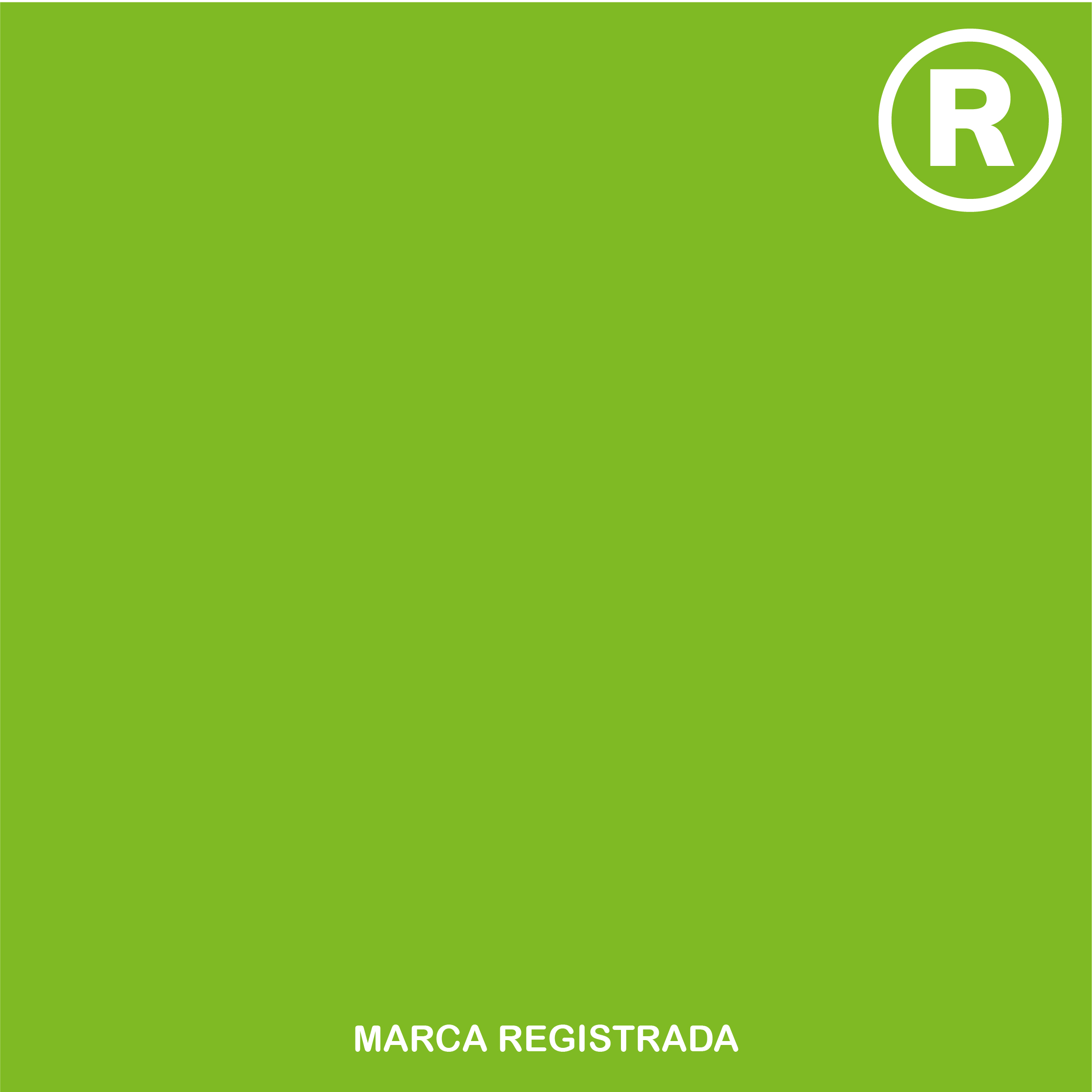 MARCAREGISTRADA+FOTOS_Mesa de trabajo 1 copia 15