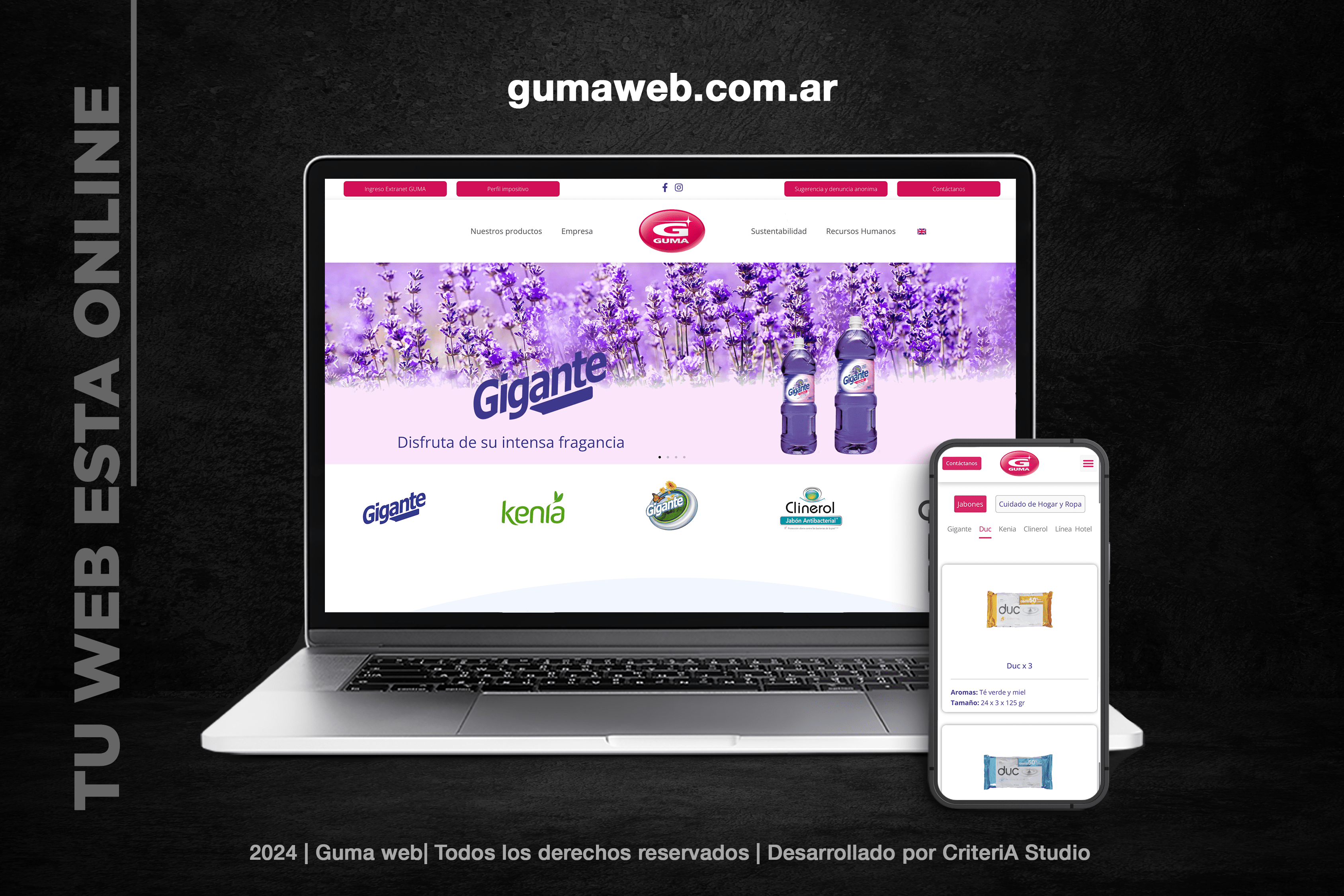 GUMA-mockup-CriteriAStudio2024 (3)-min